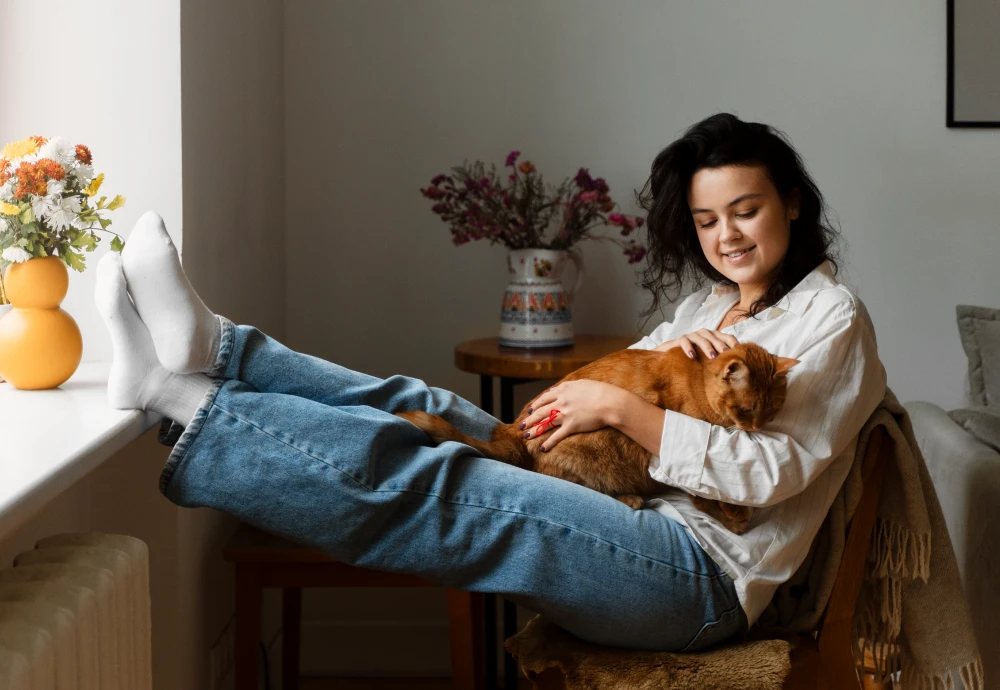 best pet security camera