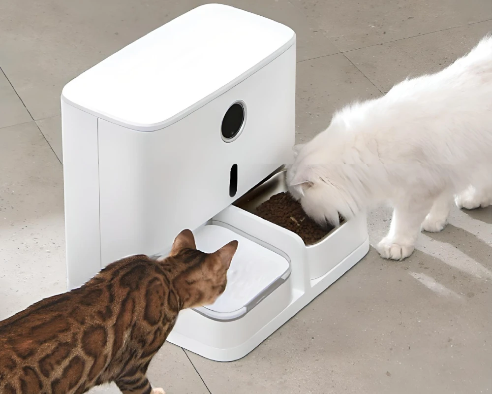 automatic dog feeder for kennel