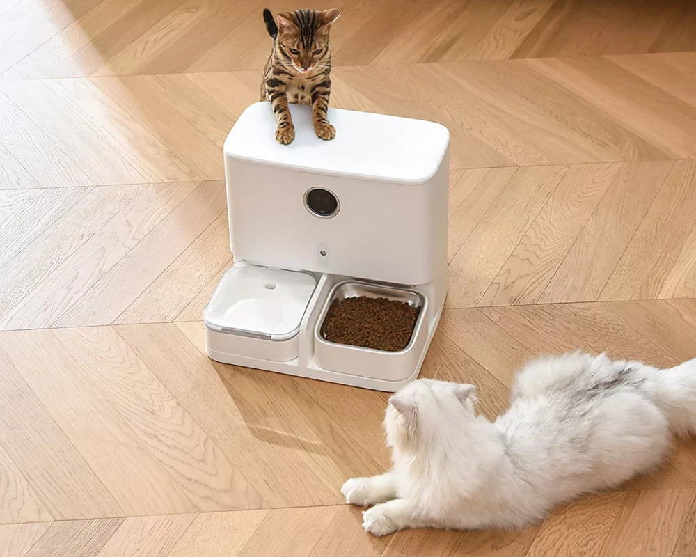 cat automatic pet feeder